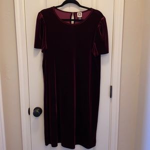 Short Sleeve Velvet Dress